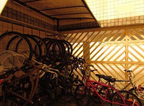 WhatsApp Image 2026-02-09 at 18.18.20 (2)